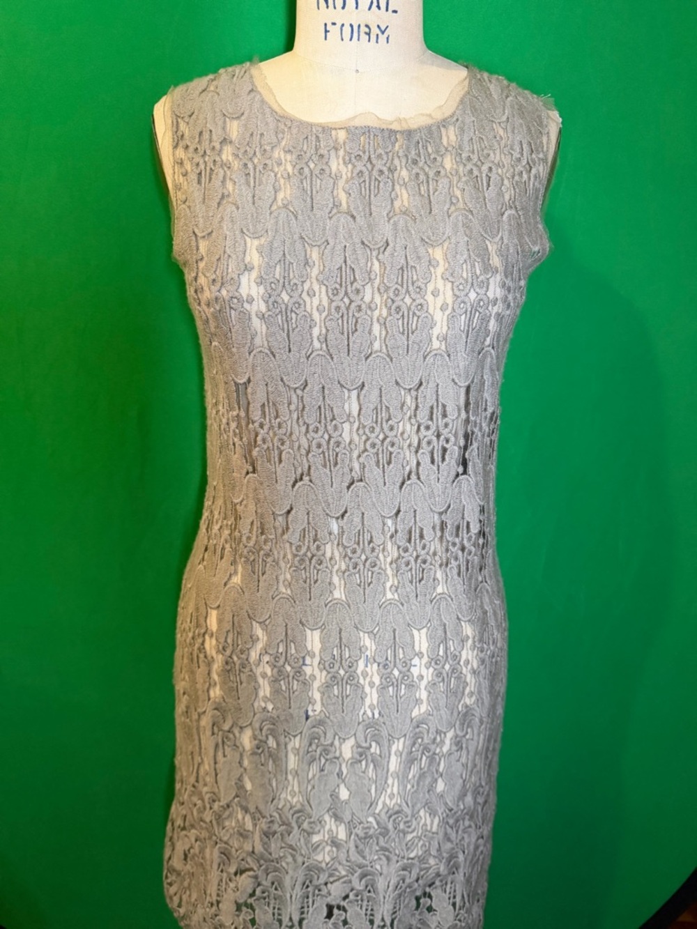Hoss Intropia Taupe Lace Dress Wool Tulle EU 36 us 4 Sleeveless Sheer